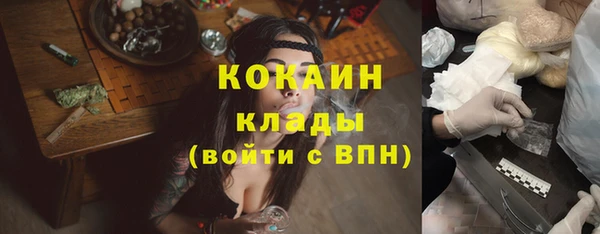 тгк Абаза