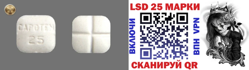 даркнет официальный сайт  Новоалександровск  Лсд 25 экстази кислота  цены наркотик 